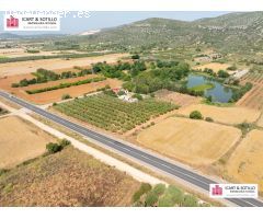 BONITA FINCA CON CASETA EN ULLDECONA