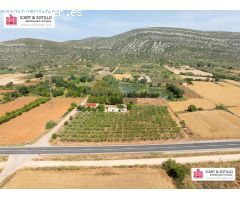 BONITA FINCA CON CASETA EN ULLDECONA