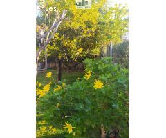 CHALET EN LINARES
