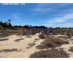 Terreno Rústico en Alquiler en San Juan Alicante, Alicante