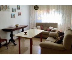 ZONA CENTRO