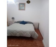 PISO EN MAESTRO CEBRIAN