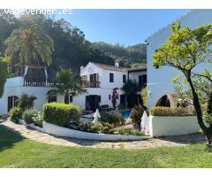 Finca rustica en Venta en Estepona, Málaga