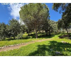 Parcela en Venta en Casares, Málaga