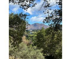 Parcela en Venta en Casares, Málaga