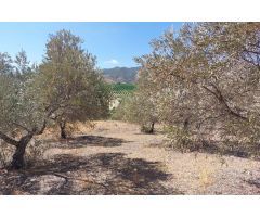 Parcela en Venta en Alora, Málaga