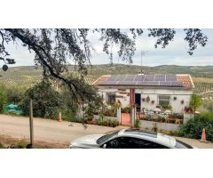 Finca rustica en Venta en Villanueva de Algaidas, Málaga