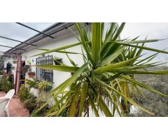 Finca rustica en Venta en Villanueva de Algaidas, Málaga