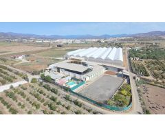 Finca rustica en Venta en Málaga del Fresno, Málaga