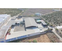 Finca rustica en Venta en Málaga del Fresno, Málaga