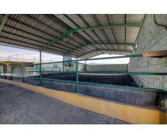 Finca rustica en Venta en Málaga del Fresno, Málaga