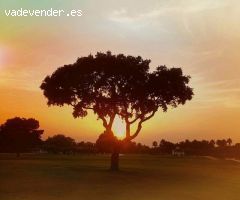 Parcela en Venta en Alhaurín de la Torre, Málaga