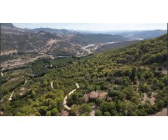 Finca rustica en Venta en Gaucín, Málaga