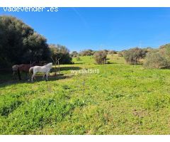Parcela en Venta en San Roque, Cádiz
