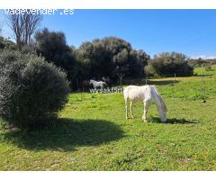 Parcela en Venta en San Roque, Cádiz