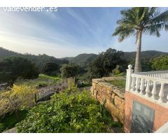 Finca rustica en Venta en Estepona, Málaga