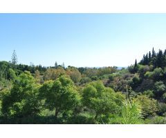 Apartamento en Venta en Marbella, Málaga