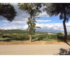 Parcela en Venta en Puerto Sotogrande, Cádiz
