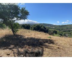 Parcela en Venta en Puerto Sotogrande, Cádiz