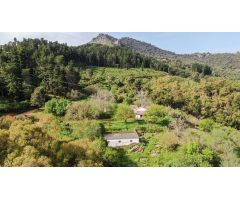 Finca rustica en Venta en Gaucín, Málaga