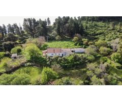 Finca rustica en Venta en Gaucín, Málaga