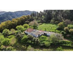 Finca rustica en Venta en Gaucín, Málaga