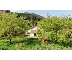 Finca rustica en Venta en Gaucín, Málaga