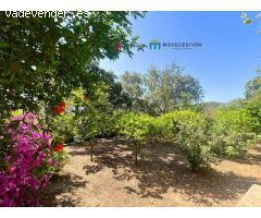 ZONA EL BOSQUE.-
