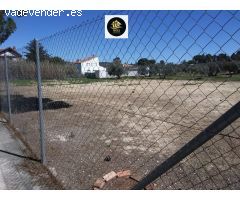 SOLAR EN LA YEDRA