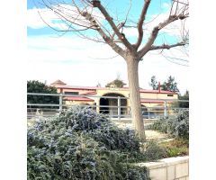 Majestuosa Finca en Alquiler para Eventos y Estancias VIP en El Rebolledo, Alicante