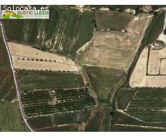 TERRENO DE REGADÍO (DE UNOS 15.000M2) EN CASTELLSERA.