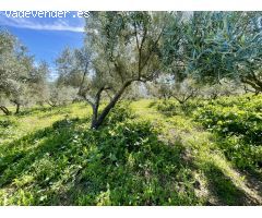 Casa de campo en Venta en Guaro, Málaga