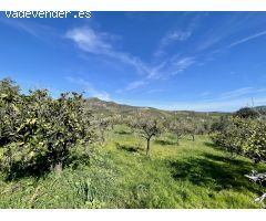 Casa de campo en Venta en Guaro, Málaga