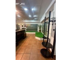 Local Comercial en Zoco Alcazaba