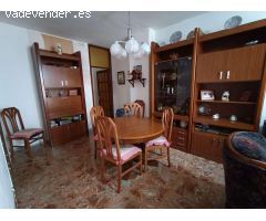 Piso 4 Hab. en El Toscal