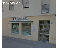 SE ALQUILA LOCAL COMERCIAL EN TRAVESÍA SAN IGNACIO
