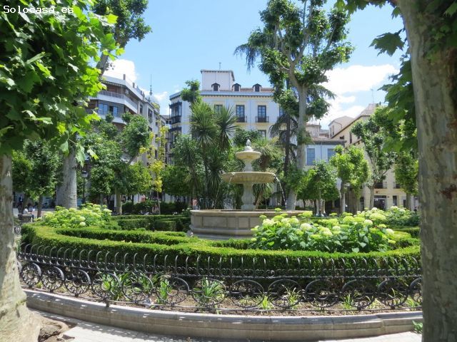 Local comercial en Alquiler en La Granada, Granada
