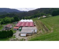 ???? Exclusiva Explotación Agrícola en Venta – 15 Hectáreas de Producción y Privacidad Absoluta ????