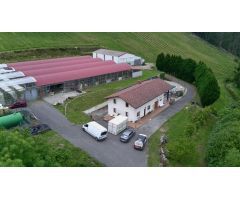 ???? Exclusiva Explotación Agrícola en Venta – 15 Hectáreas de Producción y Privacidad Absoluta ????