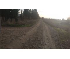 Conjunto de seis terrenos urbanos en venta en Sádaba