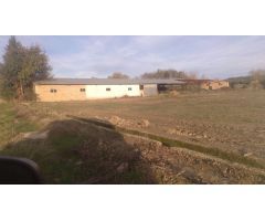 Conjunto de seis terrenos urbanos en venta en Sádaba