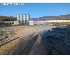 Venta de granja de conejo