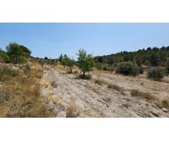 ¡¡TERRENO RÚSTICCO DE 11.210 METROS CUADRADOS EN FINESTRAT!!