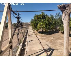 CHALET EN JUZGADOS