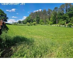 FINCA PARA CONSTRUIR CHALETS EN URDILDE, ROIS