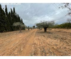 Terreno Rural zona de Valverde