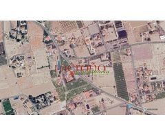 CAMPO PERLETA- MAITINO