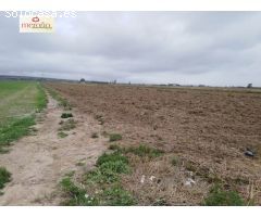 Parcela en Venta en Elche pedanias, Alicante