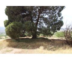 Encantadora casa con terreno en Abrucena ¡A reformar!