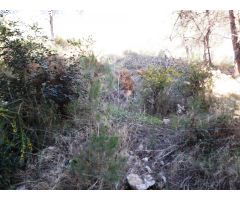 PARCELA DE 947 m2 EN COSTA CUNIT - TARRAGONA